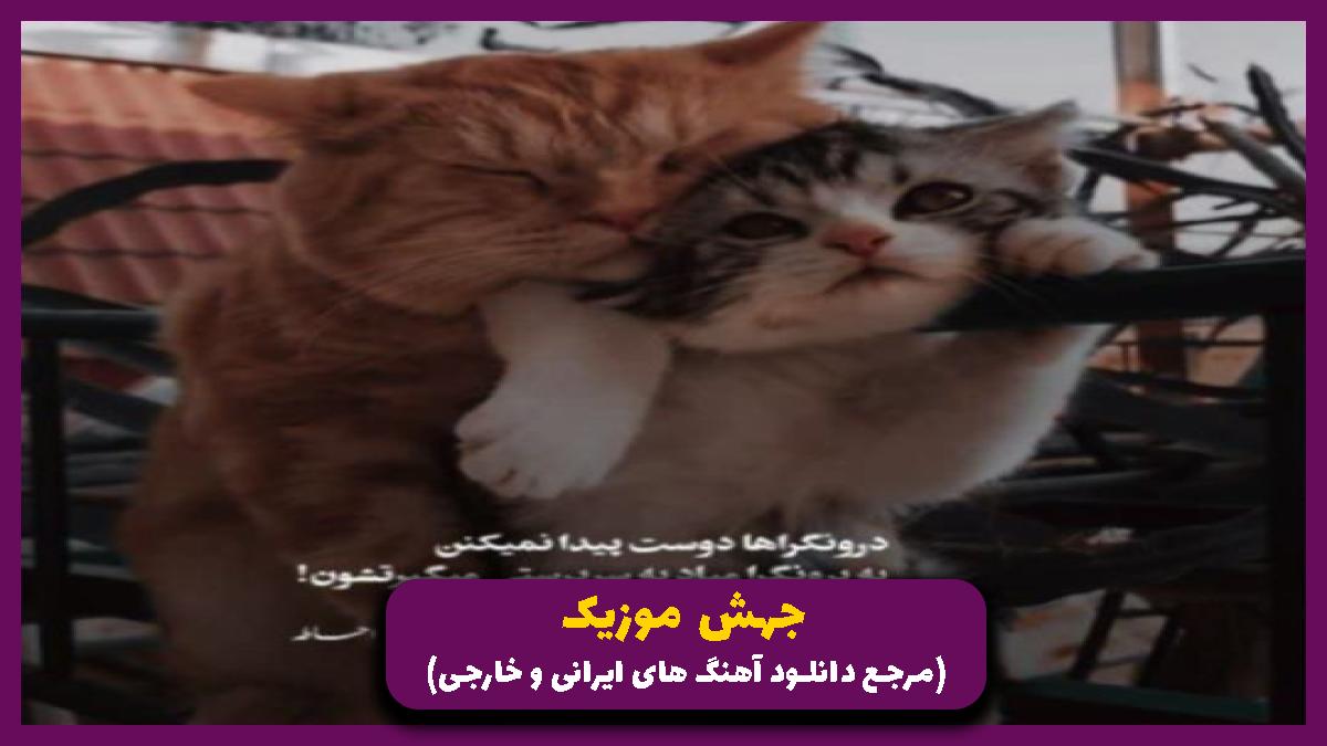 عکس آهنگ بیت نبض و قلبم میزنه تند تند هر وقت از سوران بیوار
